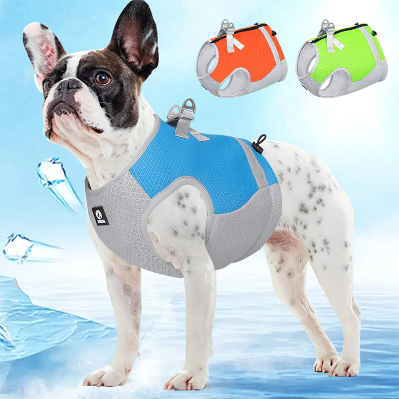 Dog Cooling Harness/Vest - Perfect For Summer