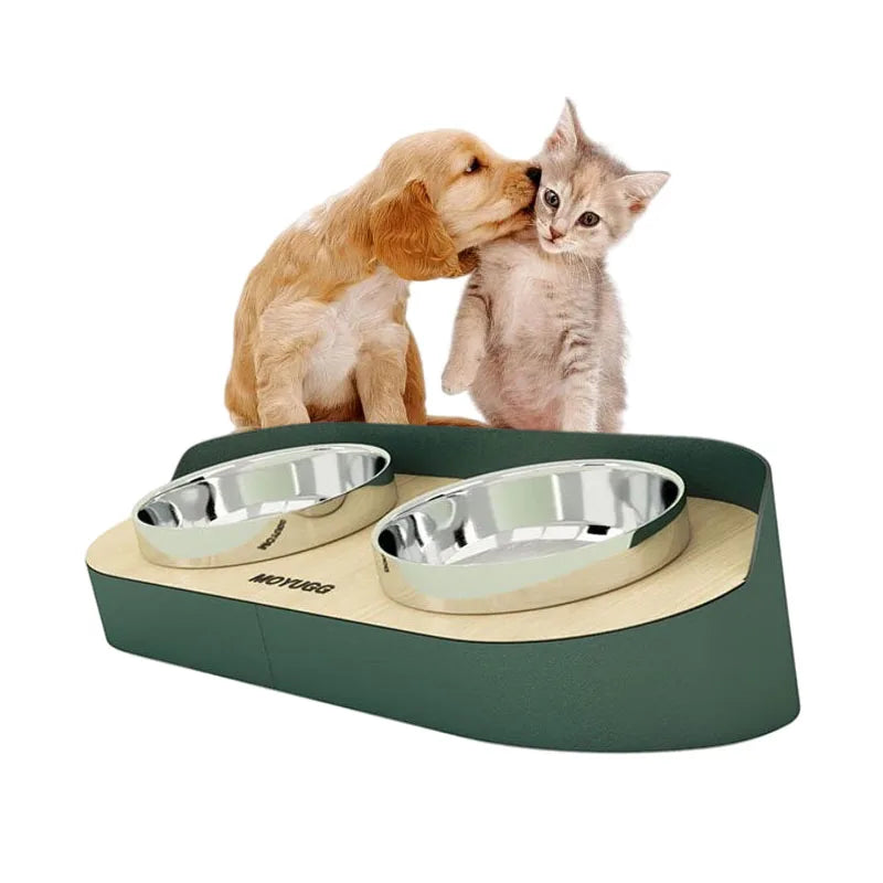 Luxury Elevated Stainless Steel Pet Food and Water Bowls