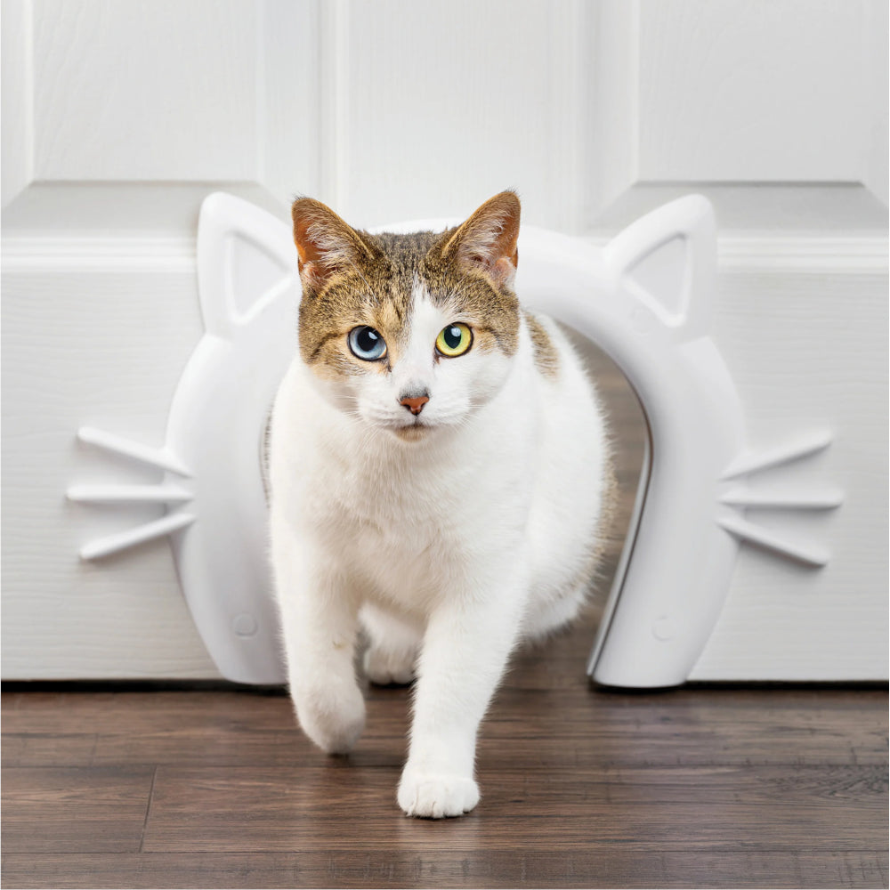 cat using a pet door