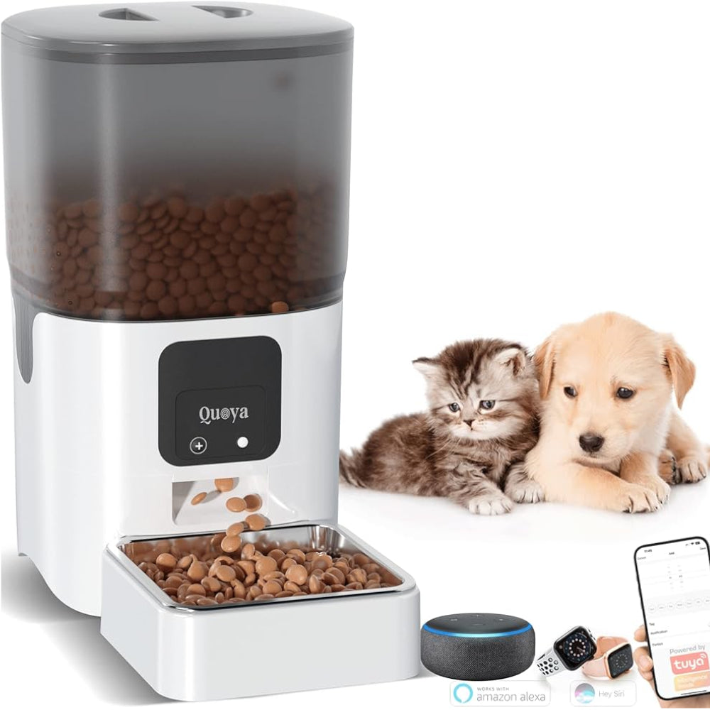 cat and dog using an electronic feeder