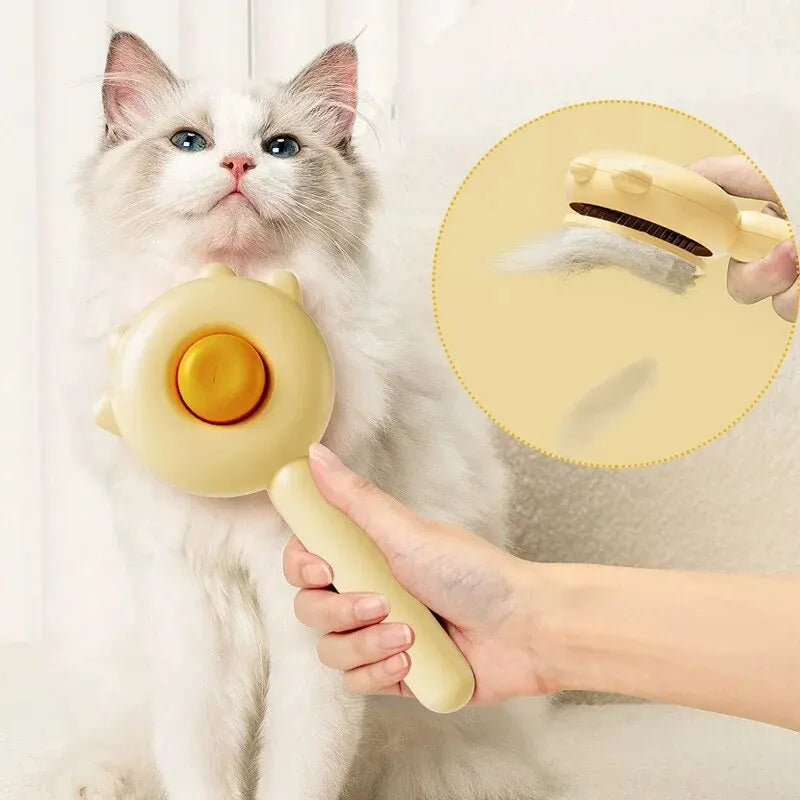 Cat using a quality grooming product