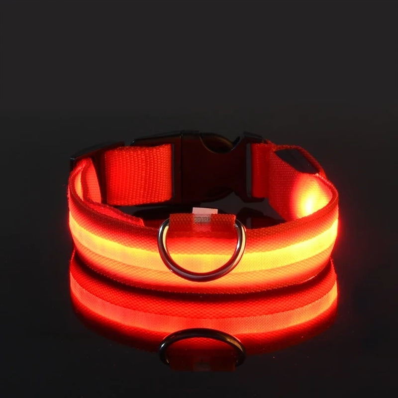 Nylon LED Glowing Dog Collar