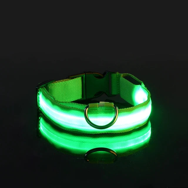 Nylon LED Glowing Dog Collar