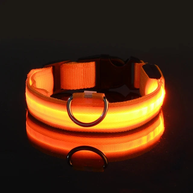 Nylon LED Glowing Dog Collar