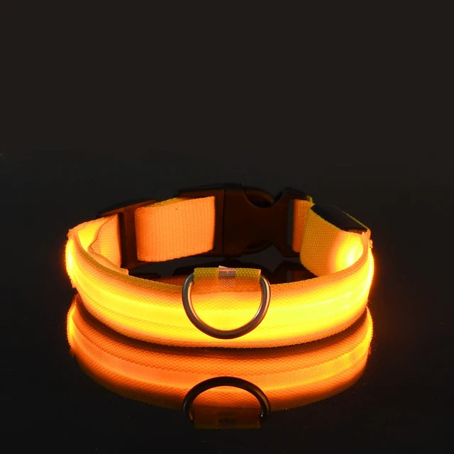 Nylon LED Glowing Dog Collar