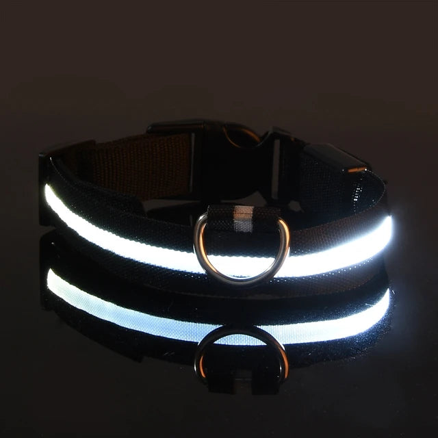 Nylon LED Glowing Dog Collar