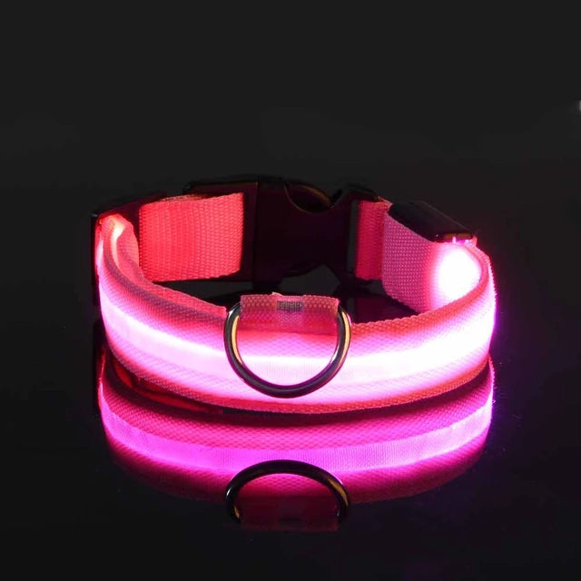 Nylon LED Glowing Dog Collar